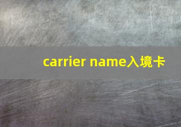 carrier name入境卡